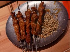 -邢氏老太太烤串(北兴街店)