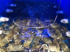 -蟹小姐节气生鲜·年货(高新店)