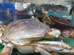 -鑫鸿达·海鲜闽菜热炒小馆(中山路店)