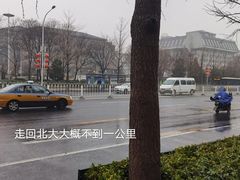 -中关村茶点