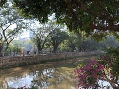 -晓港公园