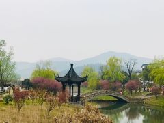 -石塘人家