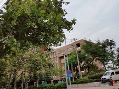 -山东省青岛第二中学(江西路分校)