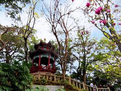 -乌山风景区