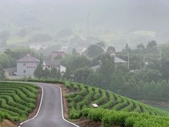 -帐篷客·溪龙茶谷度假酒店