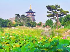 -洛阳白马寺