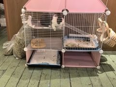 -大象厨房(重庆道店)