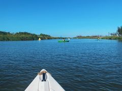 -春花秋色城市公园