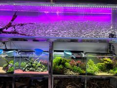 -三旗百汇商品城