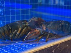 -锦色·烧鹅·海鲜(臻享店)