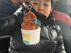 -宜家·瑞典风味餐厅(天津东丽商场店)