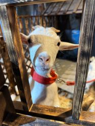 -酷嗒动物文化乐园(cutezoo西溪乐天城店)