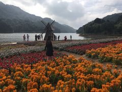-广州市石门国家森林公园