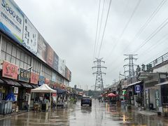 -中环花鸟鱼虫市场