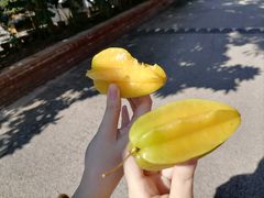 -西双版纳傣族园