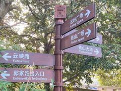 -铁山坪森林公园