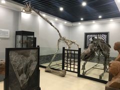 -游龙石文化科普馆