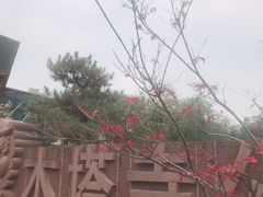 -木塔寺遗址生态公园