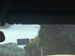 -东莞植物园