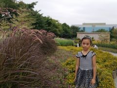 -映月湖公园