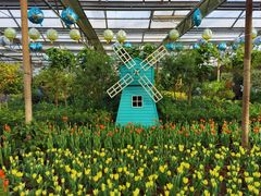 -南宫五洲植物乐园