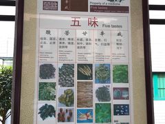 -广州神农草堂中医药博物馆