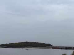 -南大港湿地风景区