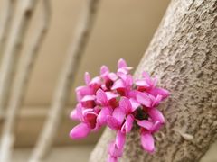 -东升八家郊野公园