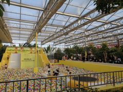 -南宫五洲植物乐园