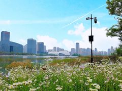 -金沙湖公园