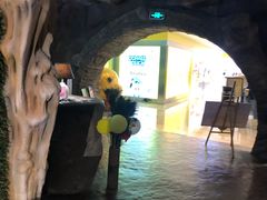 -zoonana室内动物园(东方福来德店)