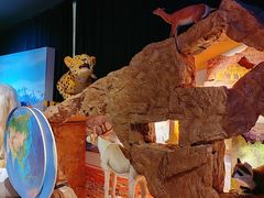 -正佳自然科学博物馆