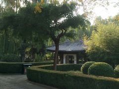 -团结湖公园