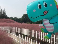 -嘉北郊野公园