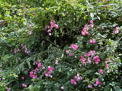 -重庆雨台山风景区