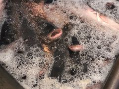-张氏鱼庄