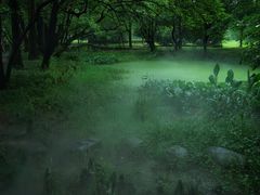 -东湖落雁景区