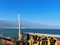-野菌皇海景野生菌火锅(滨海大道店)