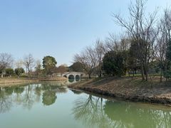 -梁鸿国家湿地公园