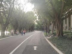 -南宁南湖公园