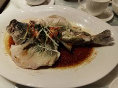 -桃源咖啡厅(武夷山大红袍山庄店)