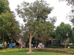 -上海山野camping·户外天幕烧烤·团建拓展营地