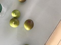 -振鼎鸡(华阴路店)