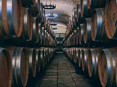 -北京张裕爱斐堡酒庄