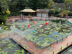-广州莲花山旅游区