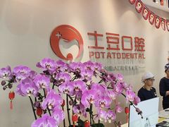 -土豆口腔(凤凰北总店)