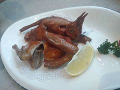 尚品嫩汁乳鸽-尚一汤·粤菜海鲜(环球港店)