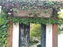 -南山植物园