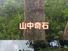 -王莽岭风景区