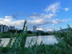 -光明小镇欢乐田园